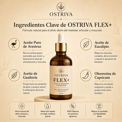 OSTRIVA Flex+